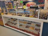 50 Pappys Plaza - Photo 2