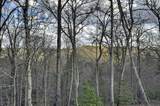 250 Wolf Creek Mountain Road - Photo 32