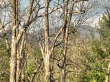 250 Wolf Creek Mountain Road - Photo 66
