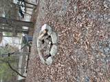 79 35th Street - Photo 34