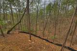 962 Maggie Chapman Road - Photo 24