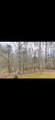 133 Yellowbird Trail - Photo 18