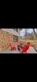 133 Yellowbird Trail - Photo 23