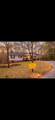 133 Yellowbird Trail - Photo 9