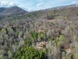 315 Hidden Branch Drive - Photo 39