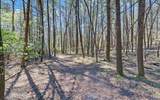 380 Bear Foot Drive - Photo 46