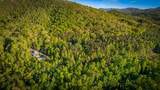 391 Forest Service 117 Road - Photo 19