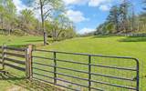 202 Dove Lane - Photo 75