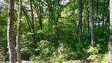 00 Fain Peak Drive - Photo 10