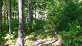 00 Fain Peak Drive - Photo 11