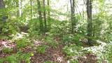 00 Fain Peak Drive - Photo 3