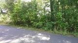 00 Fain Peak Drive - Photo 6