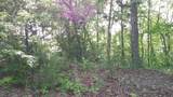 00 Fain Peak Drive - Photo 7