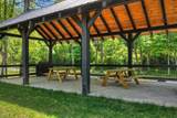 Lot 4 Grassy Creek Road - Photo 10