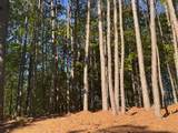 Lot 4 Grassy Creek Road - Photo 18