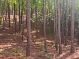 Lot 4 Grassy Creek Road - Photo 19