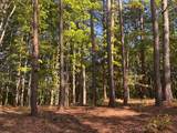 Lot 4 Grassy Creek Road - Photo 20