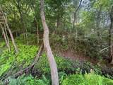 Lot 4 Grassy Creek Road - Photo 23