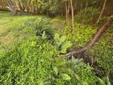 Lot 4 Grassy Creek Road - Photo 24