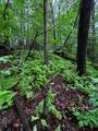 00 Lazy River Lane - Photo 5