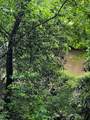 00 Lazy River Lane - Photo 8