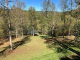121 White Oak Drive - Photo 52