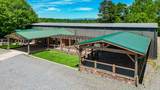 7288 Highway 515 N - Photo 8