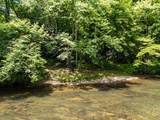 3674 Us 19 - Photo 39