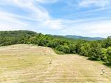 3674 Us 19 - Photo 44