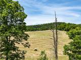 3674 Us 19 - Photo 56