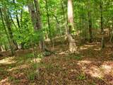 211 Winding Brook Trail - Photo 102