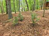 211 Winding Brook Trail - Photo 115