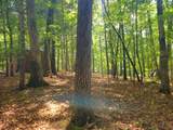211 Winding Brook Trail - Photo 98