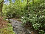 86 Pounding Mill Creek - Photo 1