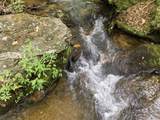 86 Pounding Mill Creek - Photo 13