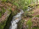 86 Pounding Mill Creek - Photo 14