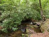 86 Pounding Mill Creek - Photo 19