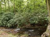 86 Pounding Mill Creek - Photo 21