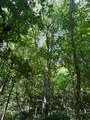 0 Monument Road - Photo 10