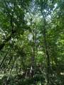 0 Monument Road - Photo 9