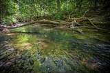 Lot 1-1A Jonica Gap Road - Photo 1