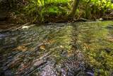 Lot 1-1A Jonica Gap Road - Photo 4
