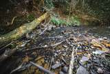 Lot 1-1A Jonica Gap Road - Photo 7
