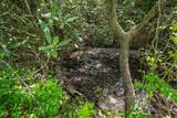 Lot 1-1A Jonica Gap Road - Photo 9