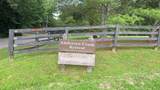 LT 6 Spring Camp Road - Photo 1