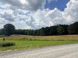 LT 6 Spring Camp Road - Photo 4