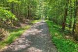 963 Black Ankle Lane - Photo 2
