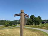 Lot 29 Big Valley Overlook - Photo 8