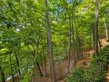 629 My Mountain Road - Photo 39