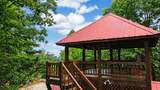 629 My Mountain Road - Photo 4